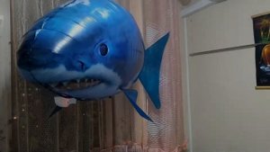 Летающая акула на пульте управления/Air Swimmers Remote Flying Fish shark