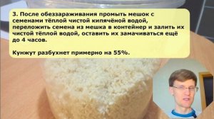 Молоко из семян кунжута — Рецепты — Оздоравливающее питание