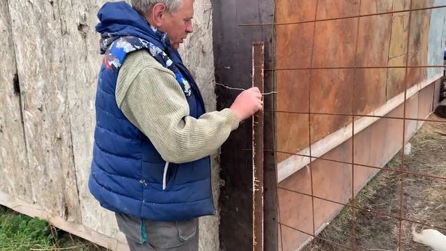 Первый выход на пастбище! Бородавки у коровы- что нам помогло! Кот-пилот! смотреть онлайн