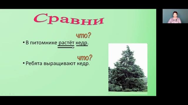 Русский язык 4 класс 13 неделя. Именительный и винительный падежи имен существительных