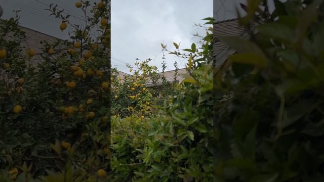 почему нельзя ругать детей смотреть онлайн