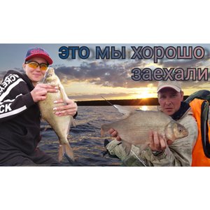 Крупный лещ на донки с лодки.