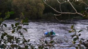 Exo X GuiGui Prod Helixir Flatwater Freestyle