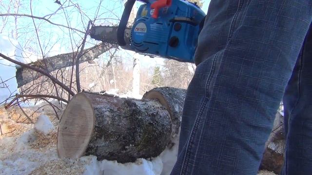 Поход в тайгу за капами сувелями и за чагой продаю ссылки и телефон в описании к видео смотреть онлайн