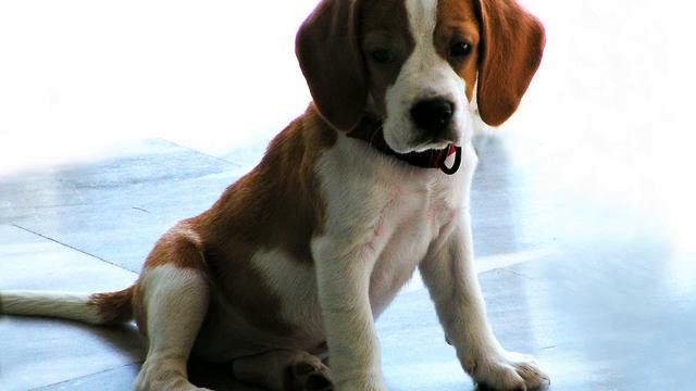 Слушать красивую музыку в машину в хорошем качестве смотреть онлайн