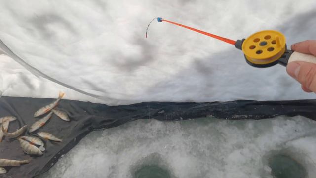 🐟Бийский Реч-Порт🐟Рыбалка в -30°!