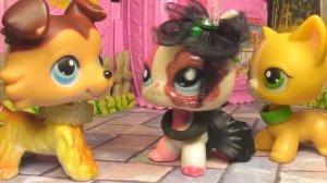 LPS сериал:  День рождения Марианны. 8 часть
