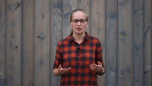 Луговой мед. Характеристики и полезные свойства. Чем особенен цветочный мед?