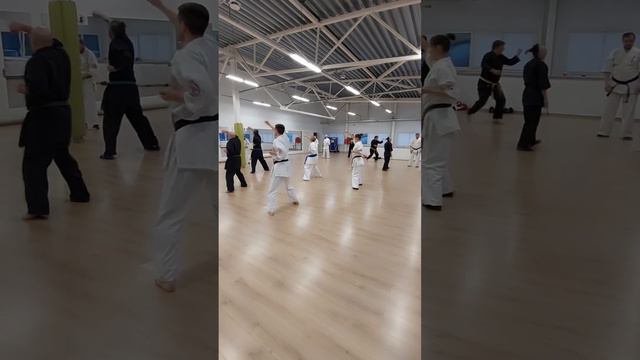 Отработка ударов в парах смотреть онлайн