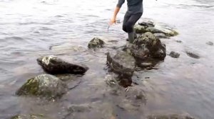 Рыбалка в Карелии. Кумжа на спиннинг. Salmon fishing on spinningа