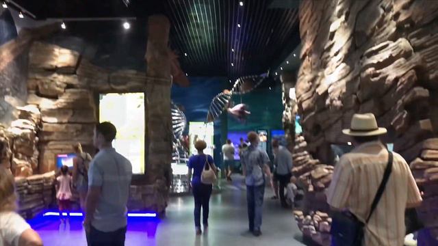 Russia vlog: come to Russian Island with me  Vladivostok  Far East region