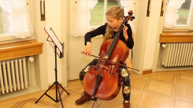 Инструменты симфонического оркестра. Струнная группа. смотреть онлайн