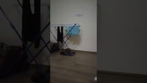 Уже сушить нельзя. Зайка.