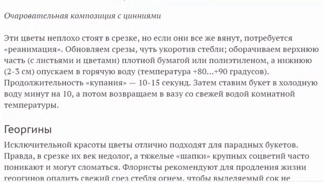 Составляем букет из дачных цветов к 1 сентября