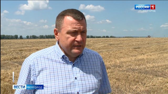 В Белгородской области продолжается уборка ранних зерновых смотреть онлайн