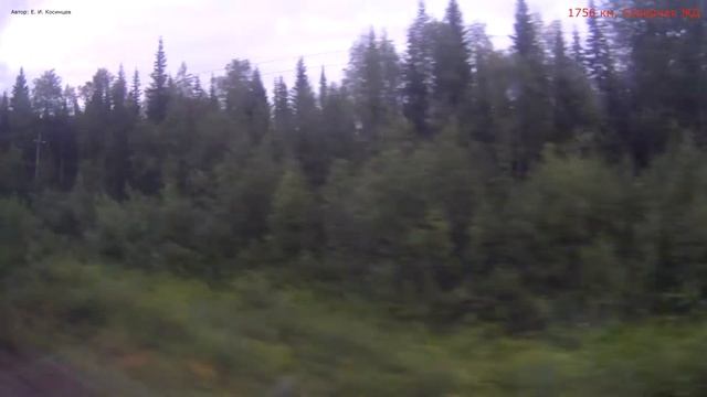 Железная дорога Ираель - Чикшино - Кожва - Печора (вид из окна поезда, южная сторона) (СЖД) HD