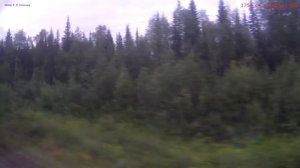 Железная дорога Ираель - Чикшино - Кожва - Печора (вид из окна поезда, южная сторона) (СЖД) HD