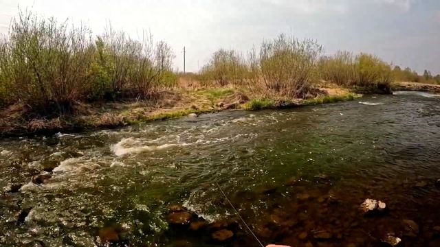 Мормышинг. Разведка и 7 видов рыб за рыбалку