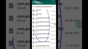 Как отправить документы в WhatsApp