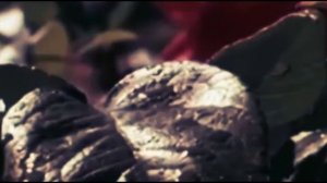 Женский вокал.Если не верить если не любить  Ленинградский Мюзик-холл 1982-83г