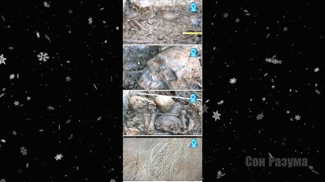 Тайный смысл всех религий. ЗАПРЕТНЫЕ ЗНАНИЯ. Только присядь для начала | Сон Разума