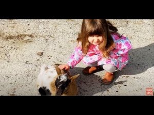 Ангелина решила ПЕРЕГЛАДИТЬ всех маленьких козлят!