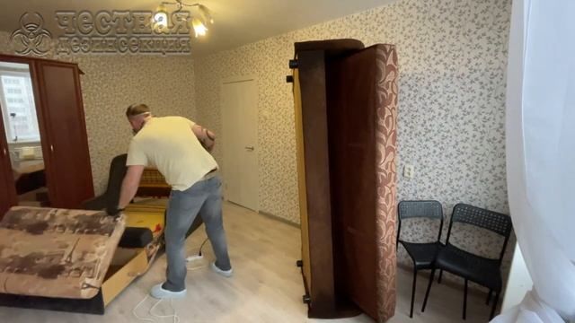 Обработка от пылевых клещей – причины аллергии смотреть онлайн