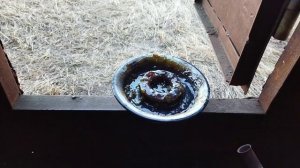 Смазка ступичного подшипника Газель Некст