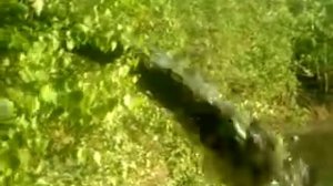Очистка Мазуринского озера в Балашихе часть 2