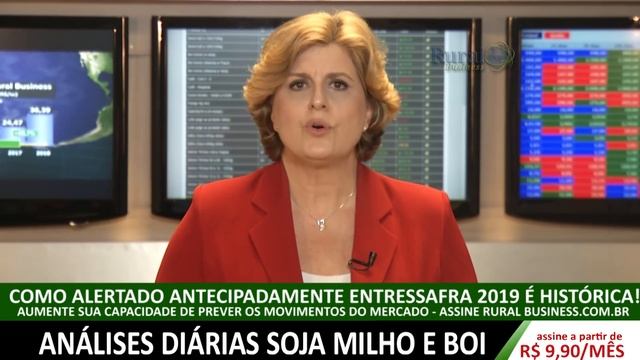 Boi de boa terminação chega a R$ 170/@ em SP! смотреть онлайн