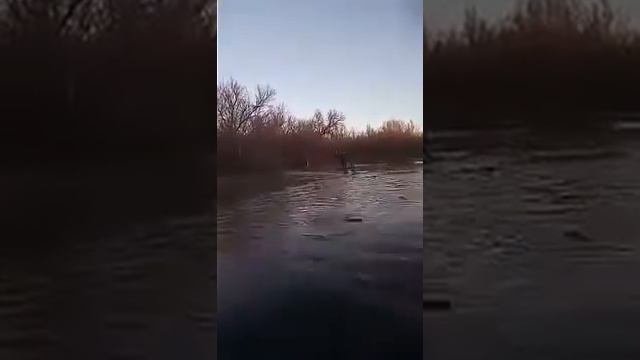 Спасение утопающих! Чуть не утонули в Самарке! Смотреть до конца!