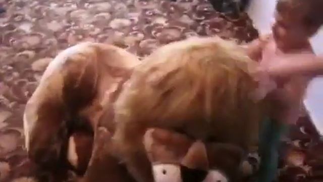 Дима оседлал льва смотреть онлайн