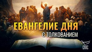 «БЕРЕГИТЕСЬ ЛЖЕПРОРОКОВ, КОТОРЫЕ ПРИХОДЯТ К ВАМ В ОВЕЧЬЕЙ ОДЕЖДЕ» / ЕВАНГЕЛИЕ ДНЯ
