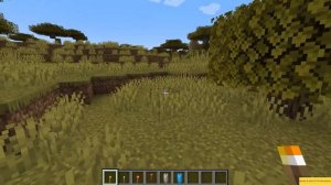 How To Set Spawnpoint? & How To Teleport To Spawnpoint? in Minecraft.