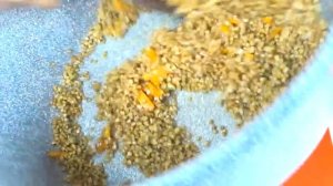 #49 Экономное МЕНЮ готовим из 1 кг ФАРША на несколько ДНЕЙ! Завтрак, обед, ужин! Простые РЕЦЕПТЫ !