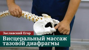 Висцеральный массаж тазовой диафрагмы. Коррекция копчика. Заславский Егор