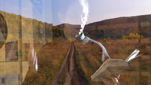 Марина Цветаева "Други! Братственный сонм!" проект "Стихи Серебряного века" смотреть онлайн