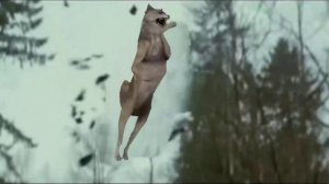 Джейкоб и Белла