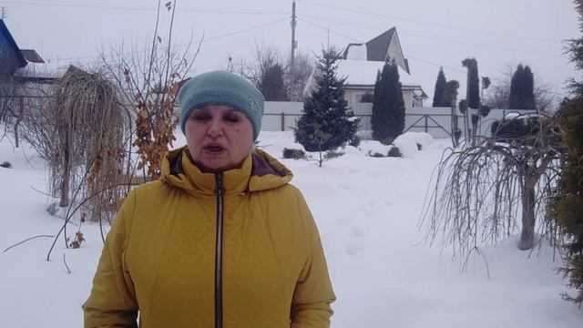Когда весной надо начинать обрезку плодовых деревьев и кустарников?
