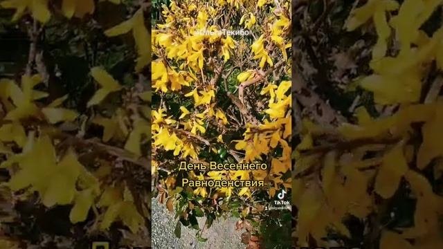 День Весеннего Равноденствия??#youtube #ОльгаТекибо