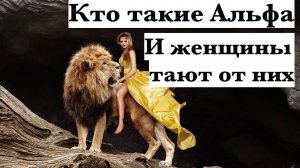 Кто такой Альфа, почему многие женщины его хотят?
