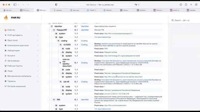 2022 08 16 WG FHIR Russia смотреть онлайн