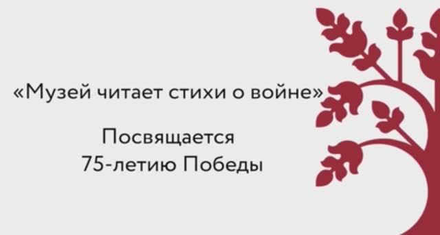 Музей читает стихи о войне. Зайкова Алла