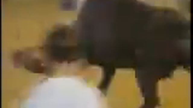 Бык Раздал Отвлекалу смотреть онлайн