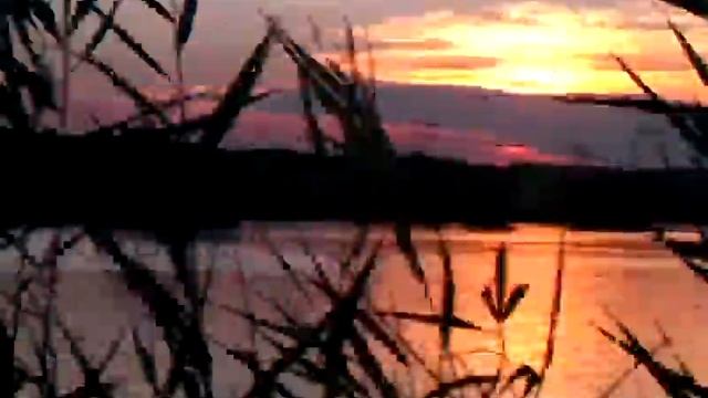 Пруд Сказка смотреть онлайн