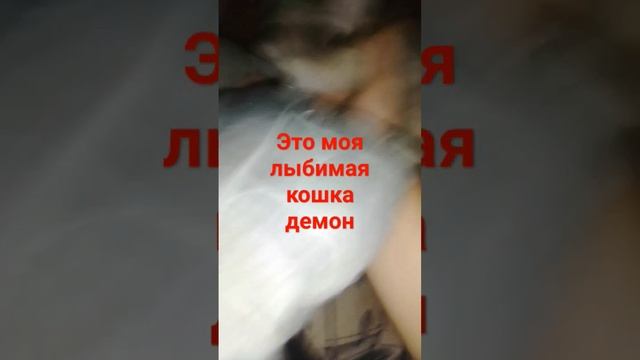 #это моя любимая кошка демон смотреть онлайн
