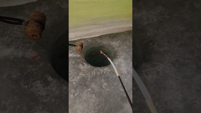 Рыбалка на Самаркандском водохранилище смотреть онлайн