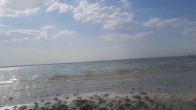 Каракалпакстан Республикасы Каратерен коли #каракалпакстан #нукус
