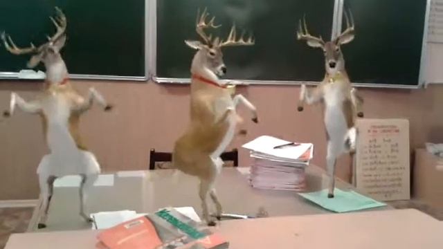 Олени в школе смотреть онлайн