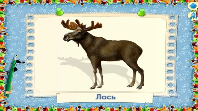 Знакомство с животными#ИграДляДетей #VideoLessonsForKids - Exploring the animals